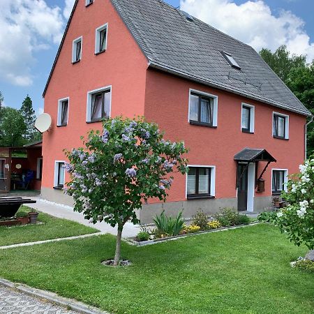 Ferienwohnung Lippmann Grosshartmannsdorf Екстериор снимка