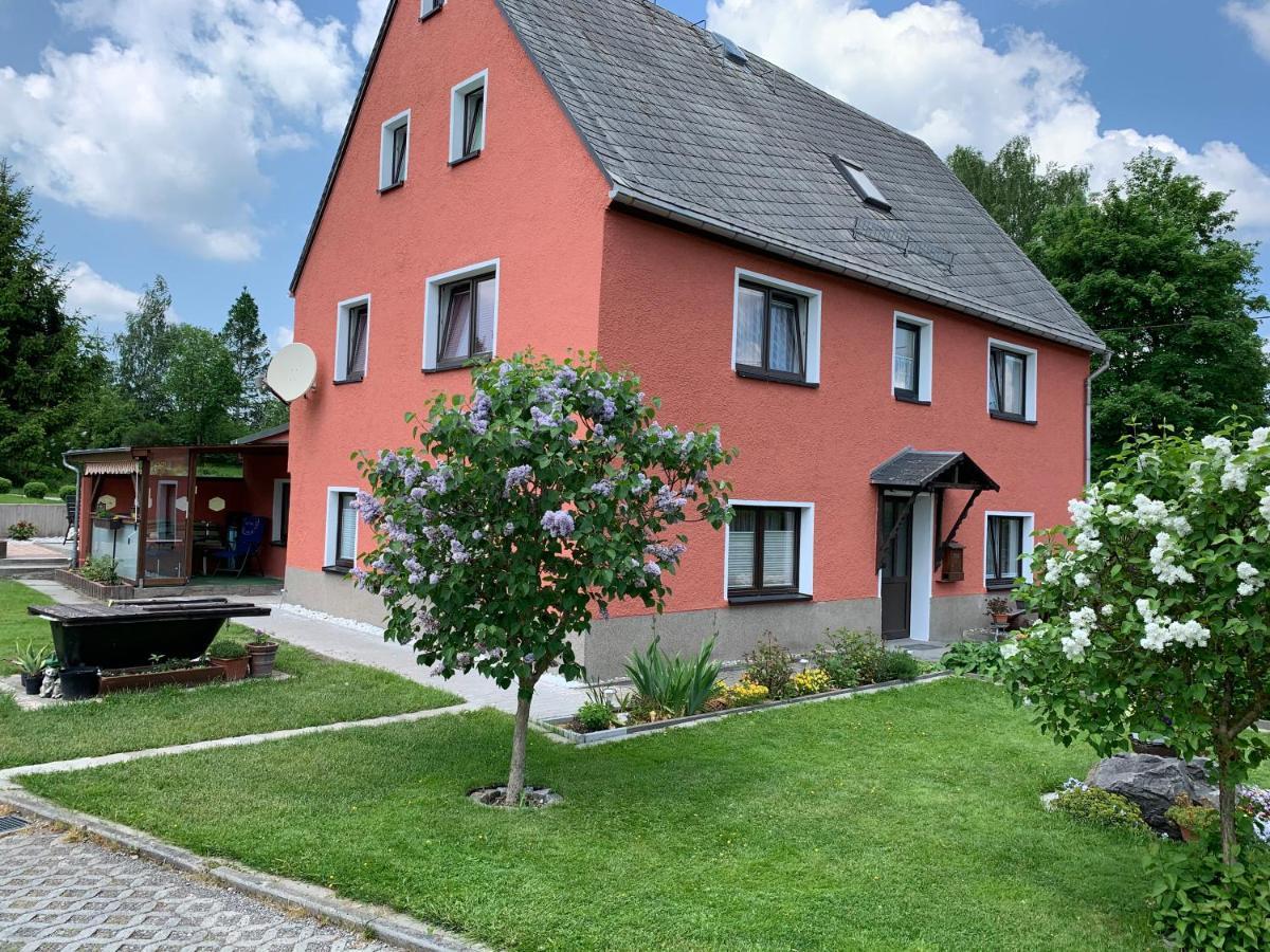 Ferienwohnung Lippmann Grosshartmannsdorf Екстериор снимка